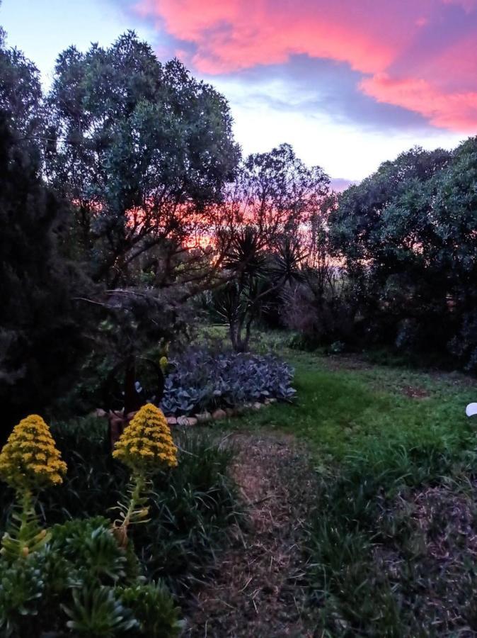 Arthouse Campos Mit Haus Galeria 110Qm Und Appartementhaus Mit Patio 30Qm Bagian luar foto