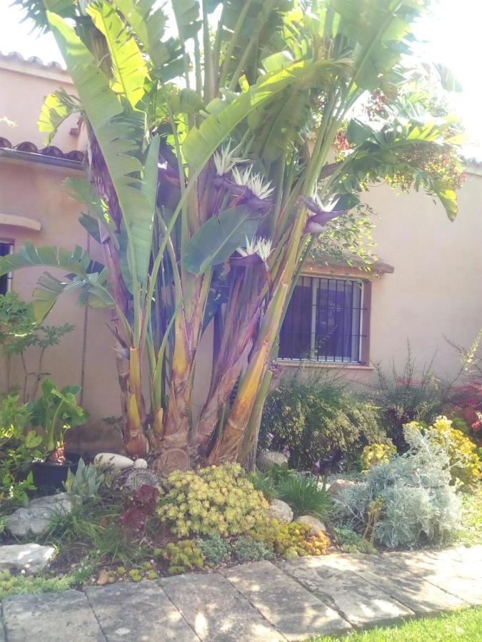 Arthouse Campos Mit Haus Galeria 110Qm Und Appartementhaus Mit Patio 30Qm Bagian luar foto