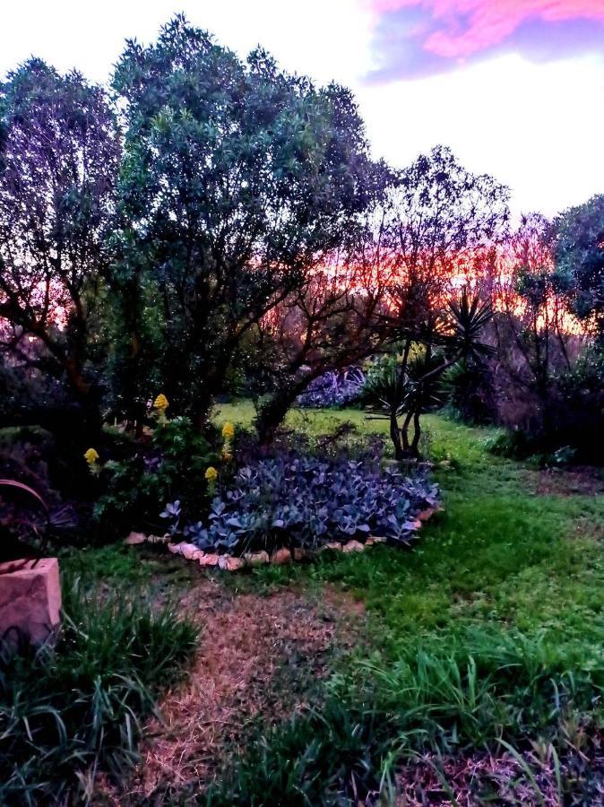 Arthouse Campos Mit Haus Galeria 110Qm Und Appartementhaus Mit Patio 30Qm Bagian luar foto